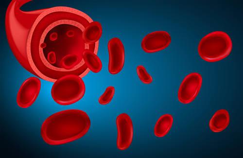 红细胞