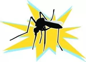 1465205706104725.jpg 640.webp (3).jpg