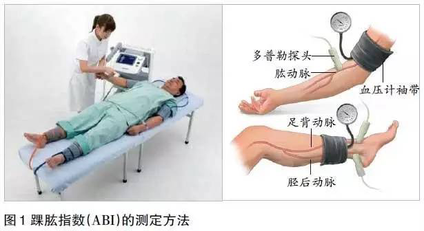 测定图片 测定图片