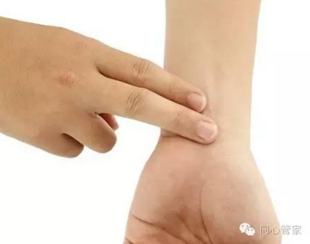 用手测脉搏 用手测脉搏