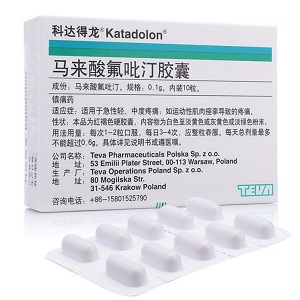 马来酸氟吡汀胶囊