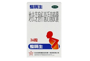 整肠生